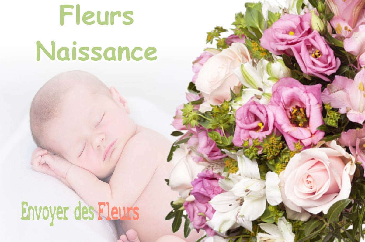 lIVRAISON FLEURS NAISSANCE à PECHABOU